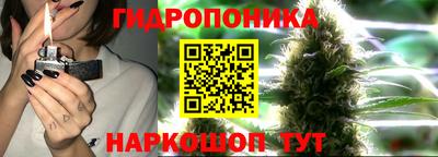 ГАЛЛЮЦИНОГЕННЫЕ ГРИБЫ Аргун